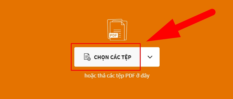 Nhấn vào Chọn các tệp để tải File